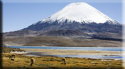 Chile Image Gallery