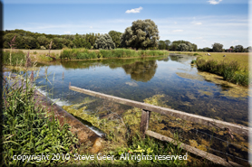 River Wye in Buckinghamshire
