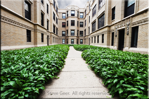 Edwardian Apartments in Rogers Park, Chicago