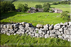 Deepdale in Yorkshire, England